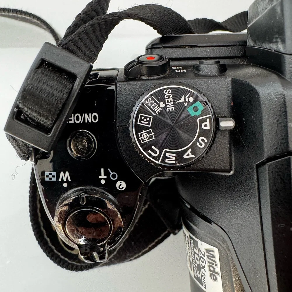 NIKON P100